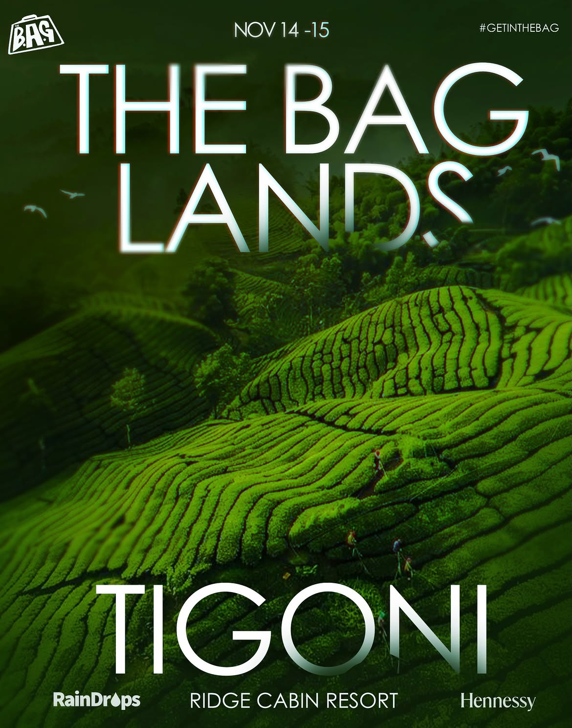 The Bag: Tigoni poster
